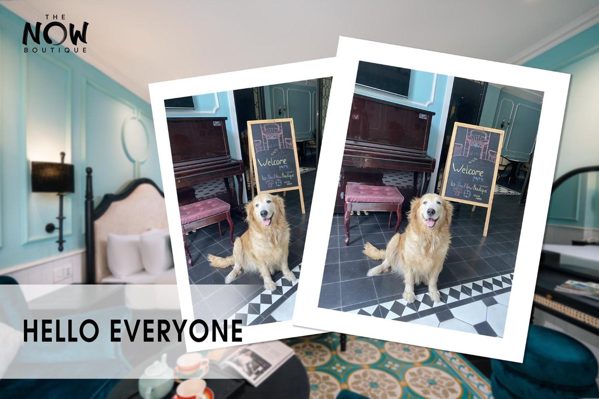 Aparthotel The Now Boutique & Da Nang